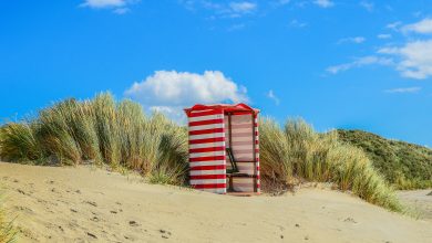 Borkum 2